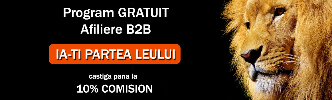 Program Networking B2B